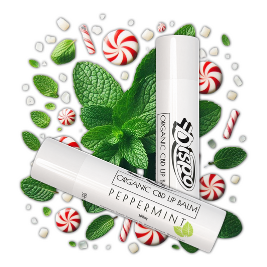 Dispo's Organic CBD Lip Balm - Peppermint 100mg